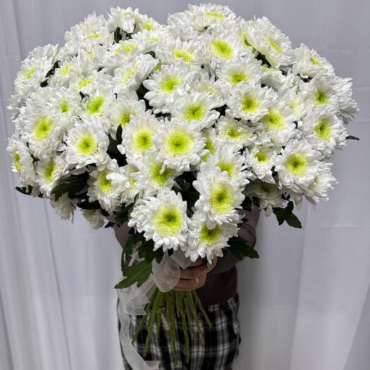 Светлое сердце