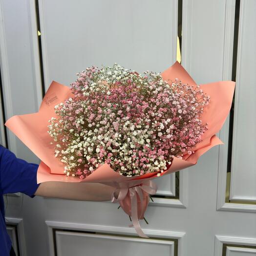Розовая и белая гипсофила