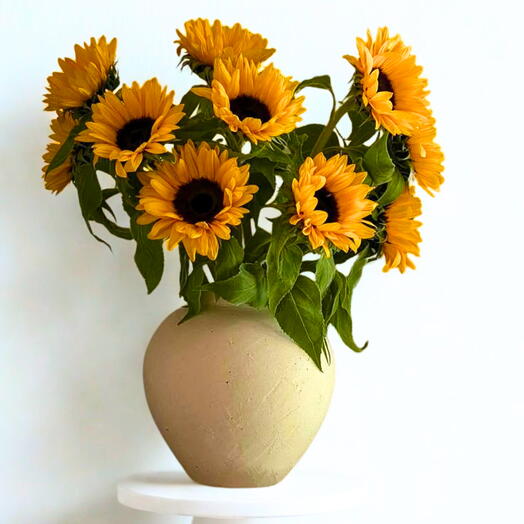 Sun Pot 11
