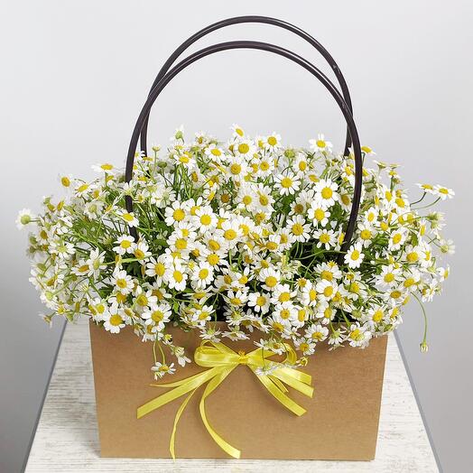 Handbag with Camilla