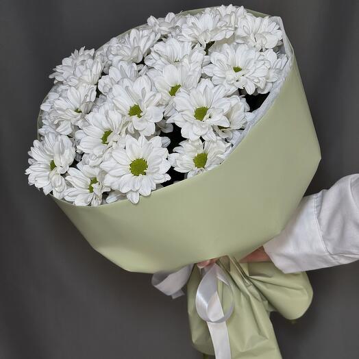 Ромашковое утро