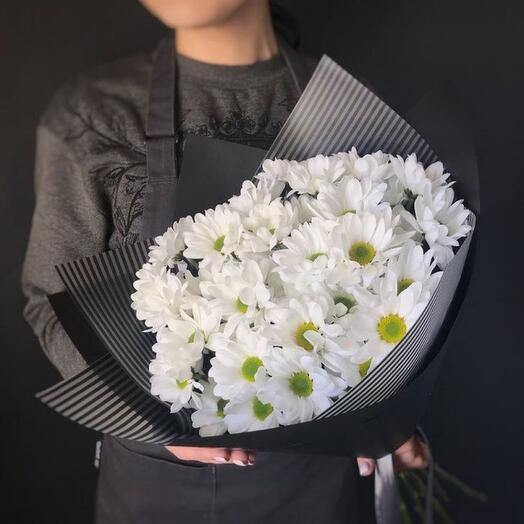 Chrysanthemum chamomile