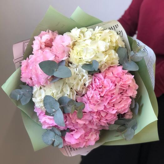 Ramo de Hortensias Rosadas y blancas con eucalipto