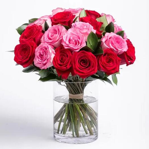 Lovely 31 Red and Pink Roses