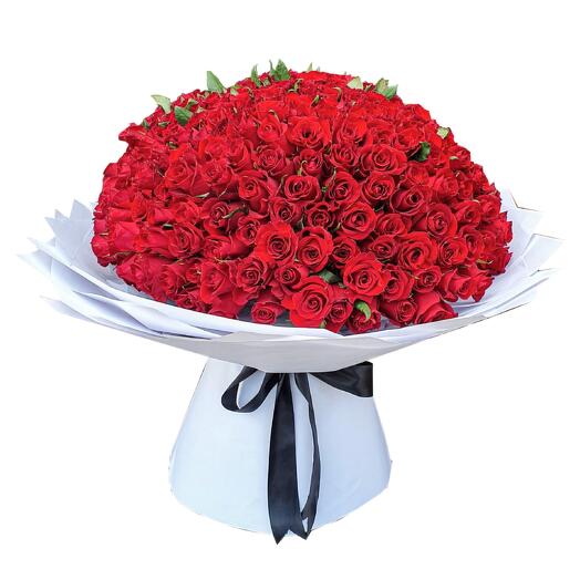 200 Romantic Roses