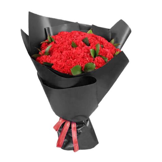 51 Red Carnation Bouquet