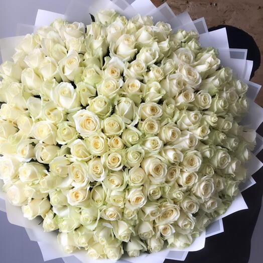 110 white roses