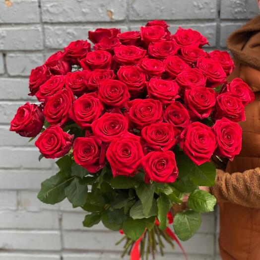 41 red roses