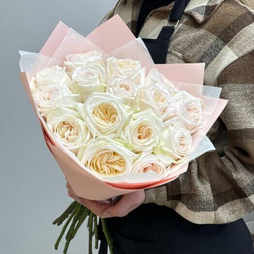 White O Hara Roses