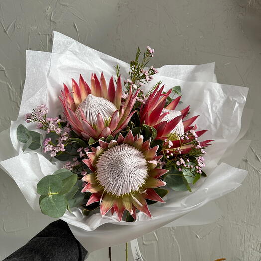 Protea mix