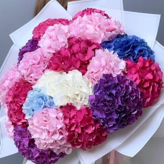 Bouquet of assorted hydrangeas