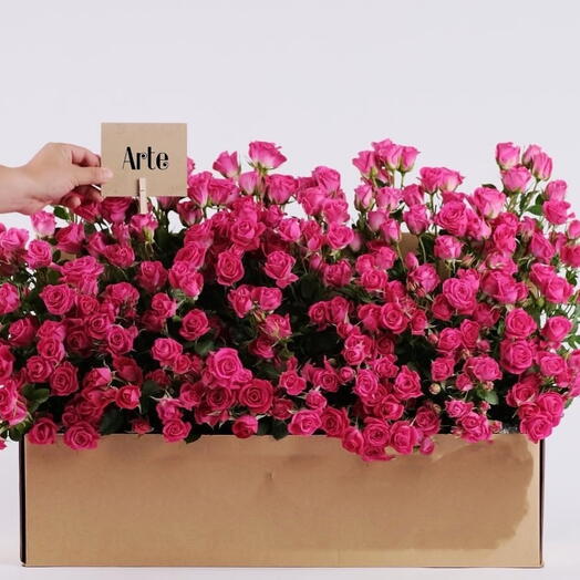 Flowers in a box