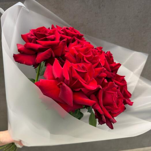 French red roses