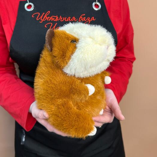 Маленький хомяк