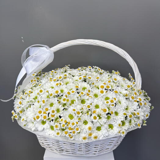 Корзина из 🫶белой ромашковой  хризантемы L