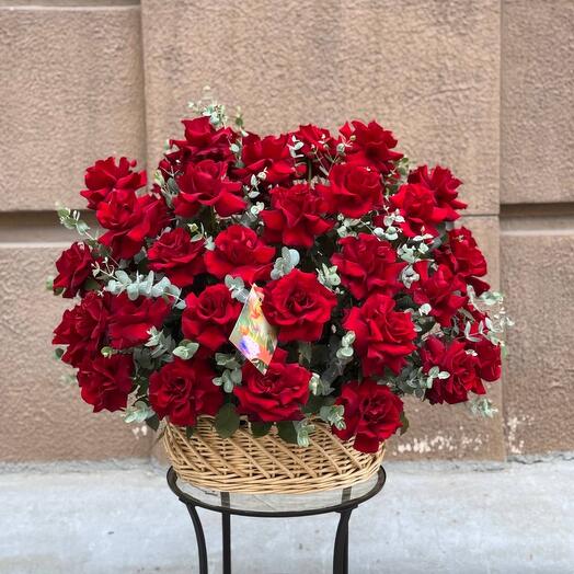Pioni_Rose