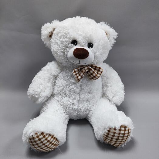 Белоснежный медвежонок