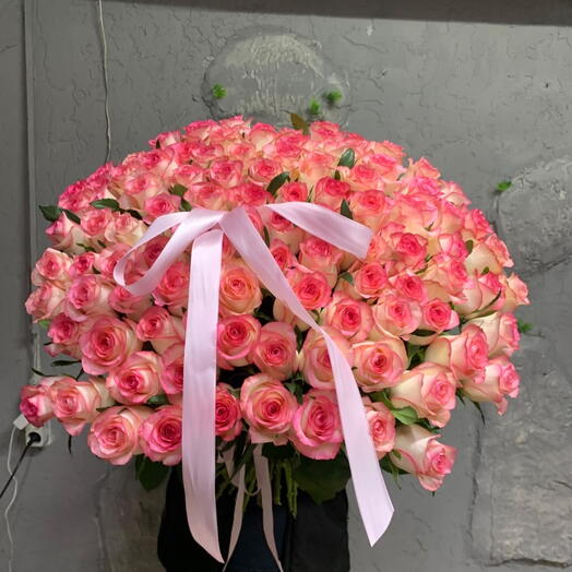 dassy flowers