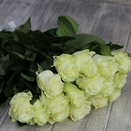 Rose Ecuador Mondial 15 pieces