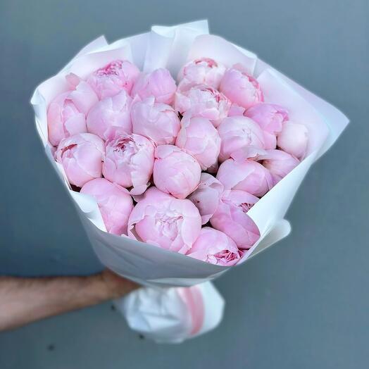 Peonías rosa Sarah Bernard 21 piezas