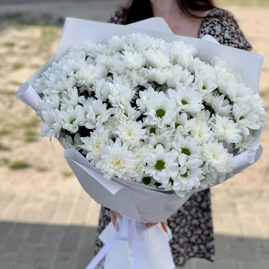 Chrysanthemums to whom