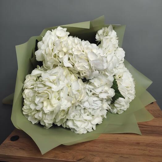 Lucas Flowers