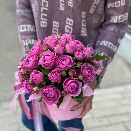 «Мисти Баблс»