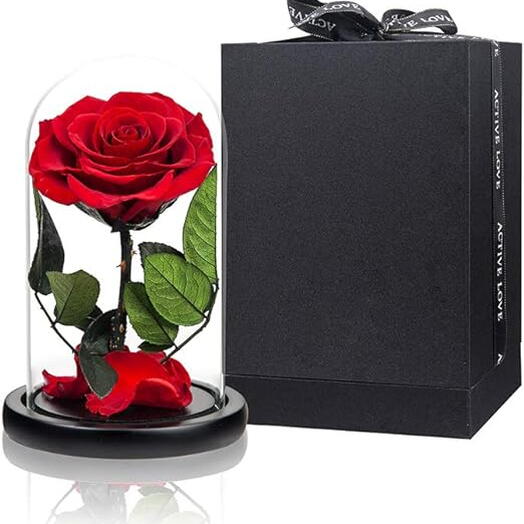 Preserved Rose Flower