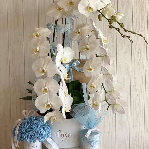 Ultra Luxe White Orchids and Blue Roses Gift Set