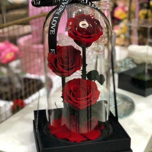 Preserved red rose