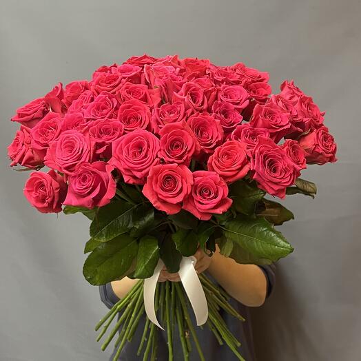 Роза фуксия 51