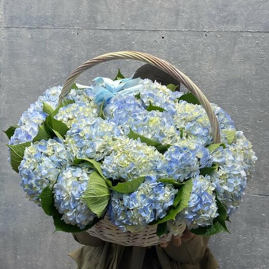 EXPO FLOWERS