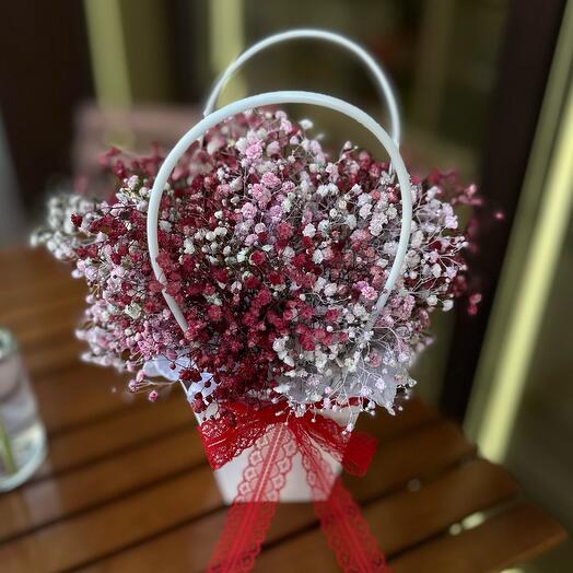 Гипсофила вишня