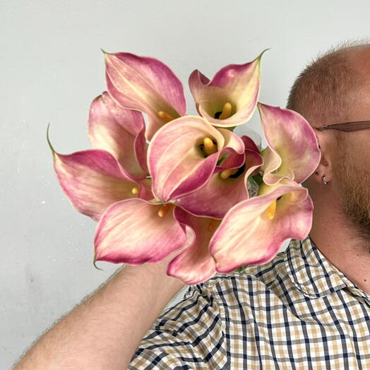 Flora lotus