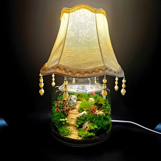 Студия фитодизайна "Micro Garden"