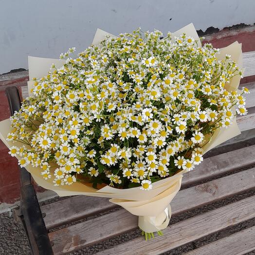 Букет из 25 кустовых ромашек