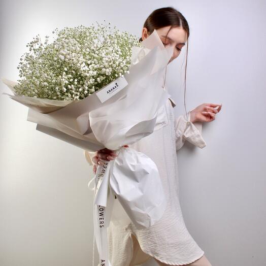 Monobuceta de gypsophila blanca