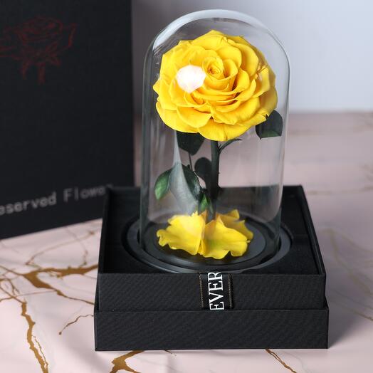 Yellow preserved rose
