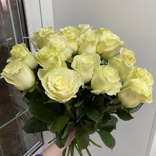Роза Эквадор 17 шт