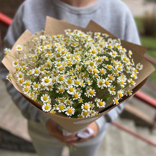 Ромашки