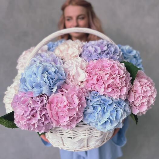 Elegant basket with hydrangeas