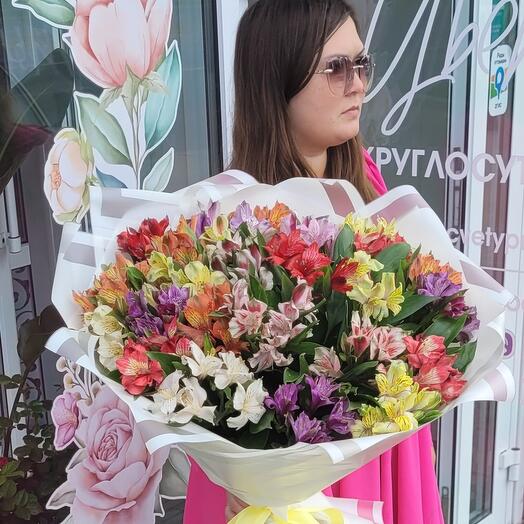 Pink alstroemeria