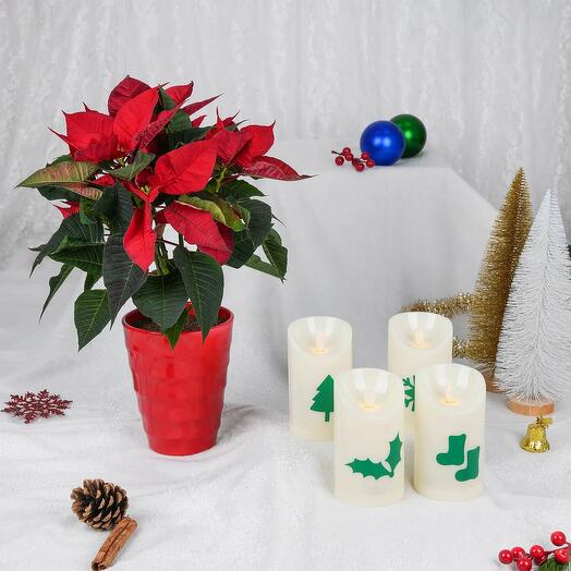 Poinsettia with LED Candles