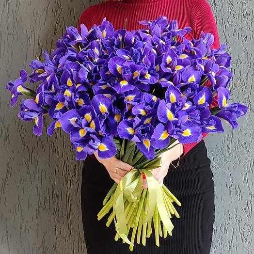 Весенняя клумба ирисов на 8 марта маме