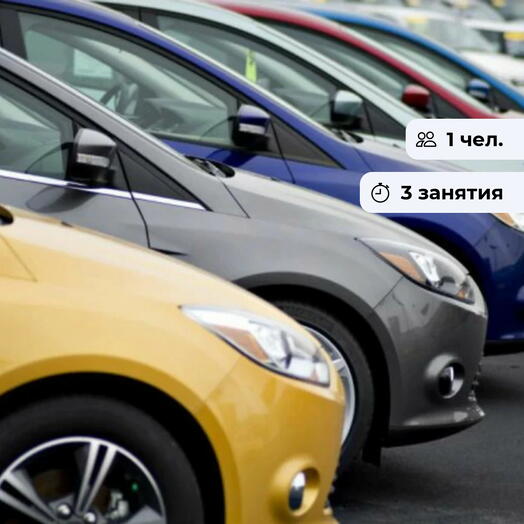 Мастер парковки. Уроки контраварийного вождения