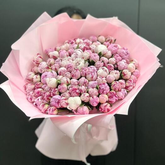 101 PEONIES