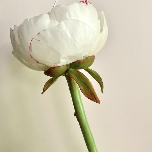 Свеча Пион на стебле белый