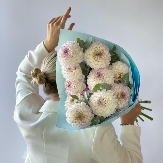 White Rose studio