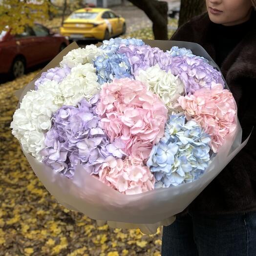 Bouquet of hydrangeas 15