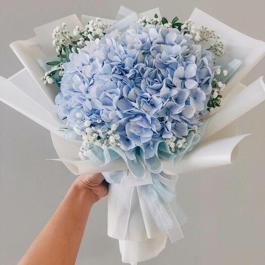 Bouquet of blue hydrangea and gypsophila